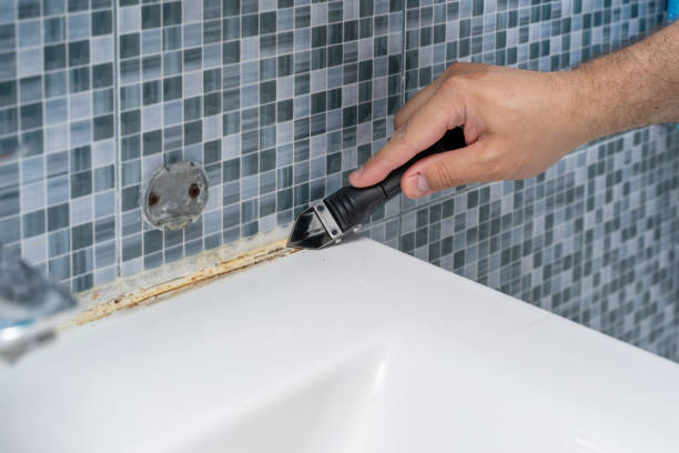 Best Residential Mold Remediation in Independence, VA